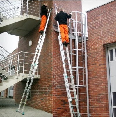 PROFESSIONAL LADDERS 3x10, model 8610