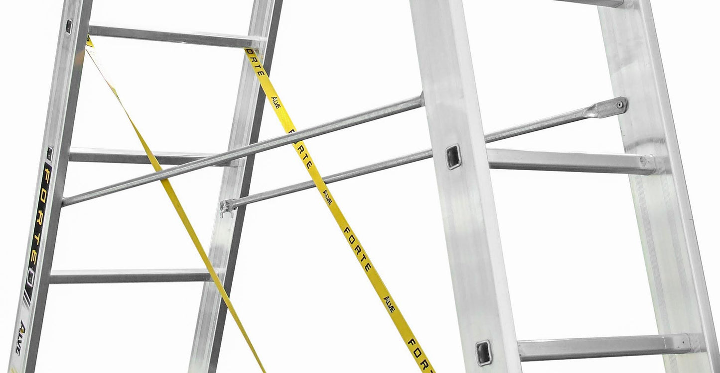 PROFESSIONAL LADDERS 3x10, model 8610