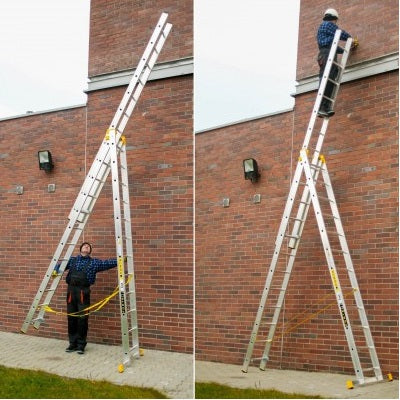 PROFESSIONAL LADDERS 3x10, model 8610